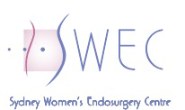 SWEC_ori